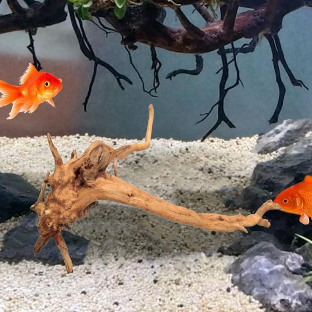 Tronc d'arbre naturel pour déc - Aquarium Plant Roots avis et prix