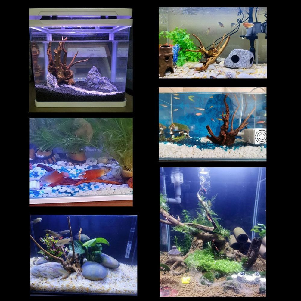 Tronc d'arbre naturel pour déc - Aquarium Plant Roots avis et prix