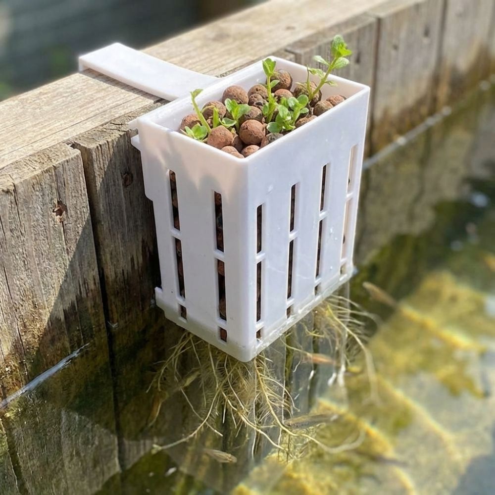 Panier mural pour plantes d'aq - Aquarium Planted Wall avis et prix