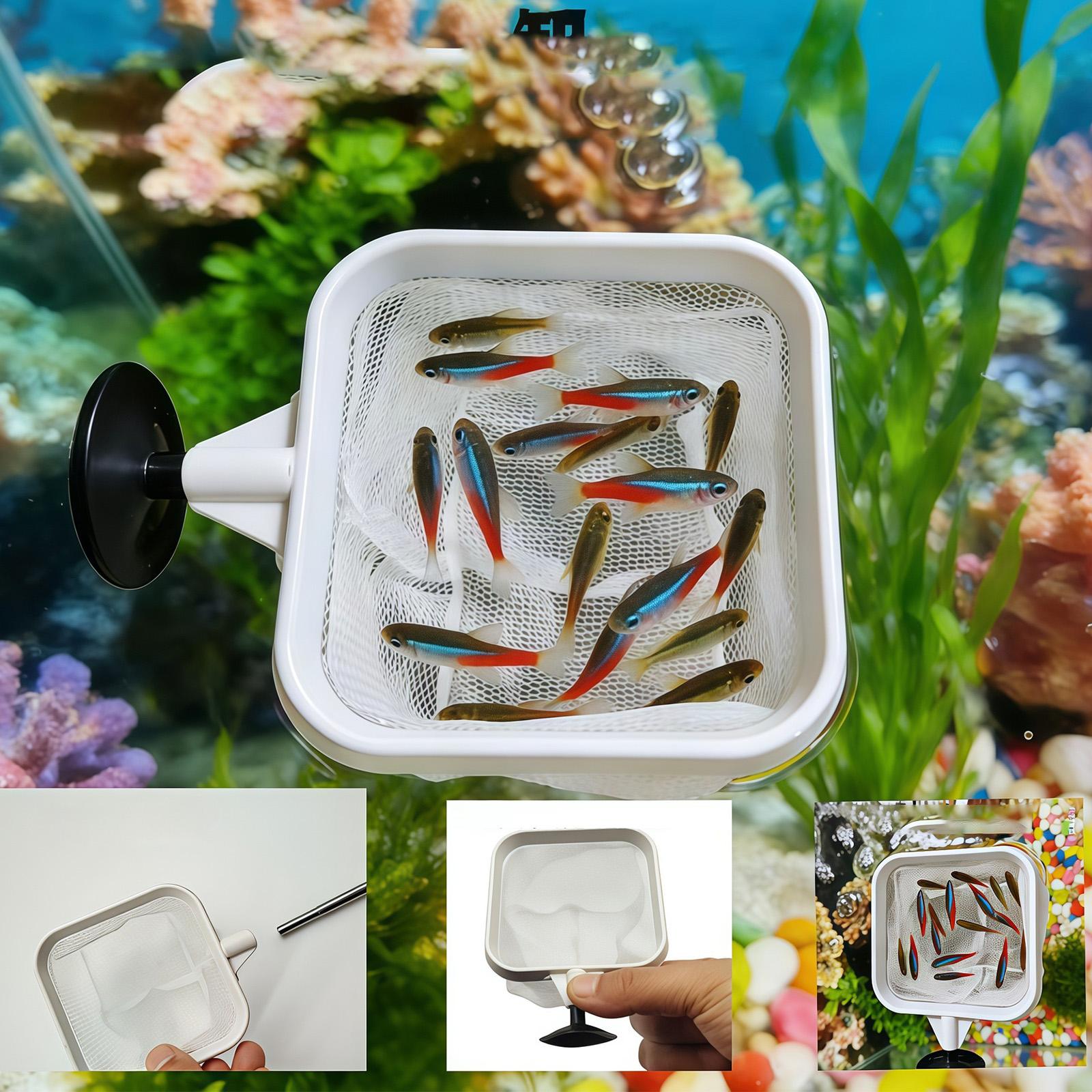 Épuisette à long manche extens - Aquarium Plant Roots avis et prix