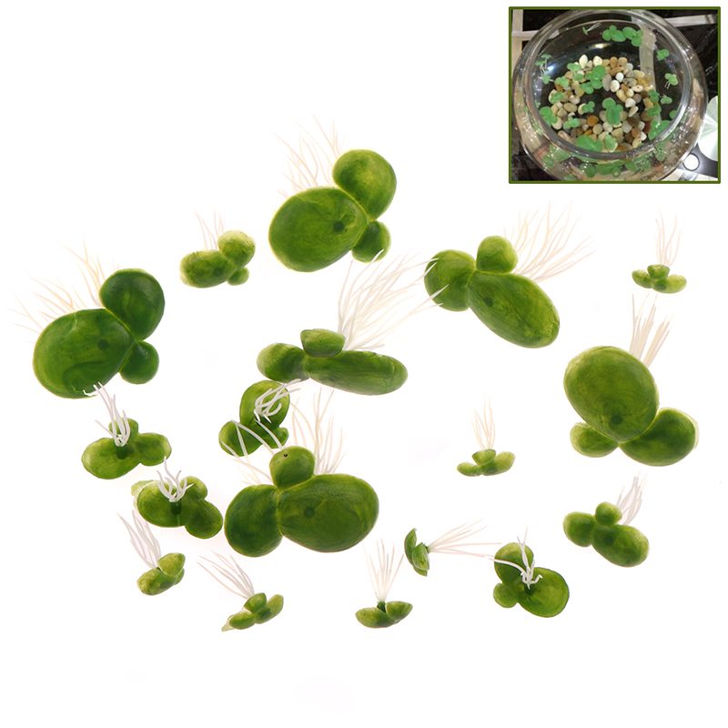 【F】18 pièces/ensemble Décorati - Aquarium Plant Roots avis et prix