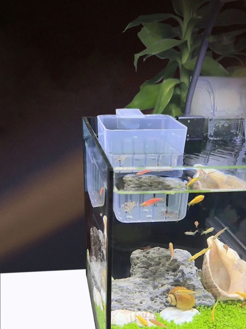 Panier hydroponique Transparen - Aquarium Planted Wall avis et prix