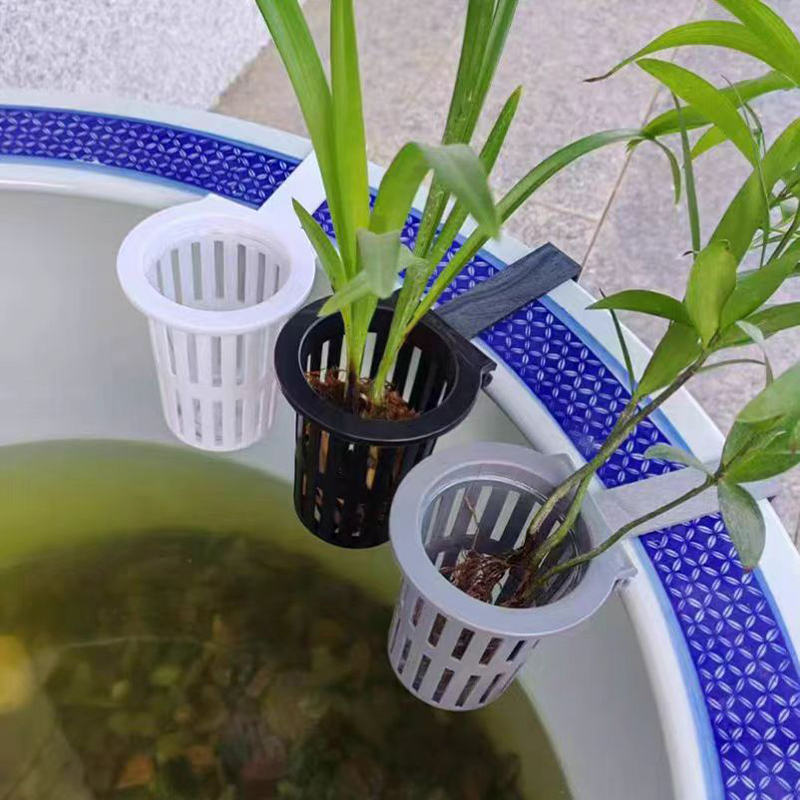 Panier de plantes d'aquarium,  - Aquarium Planted Wall avis et prix