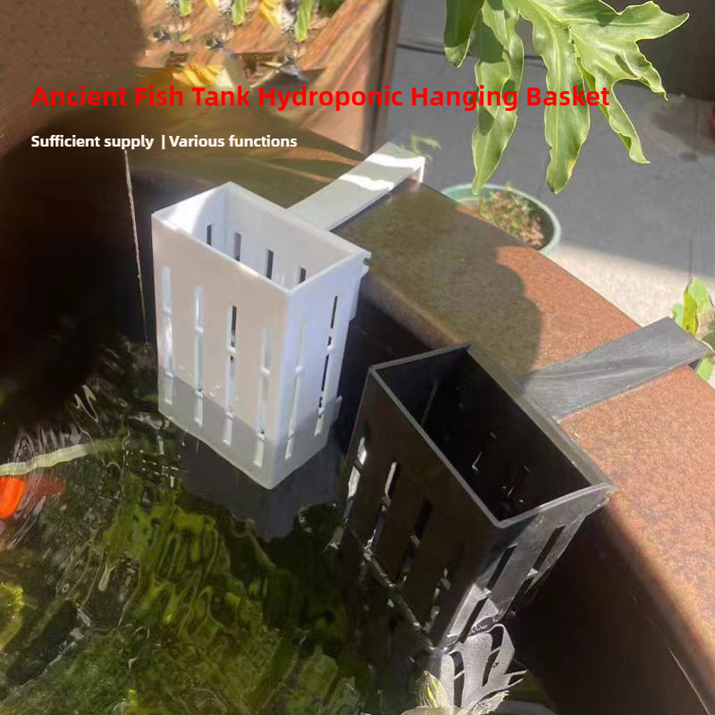 Panier de plantes d'aquarium,  - Aquarium Planted Wall avis et prix