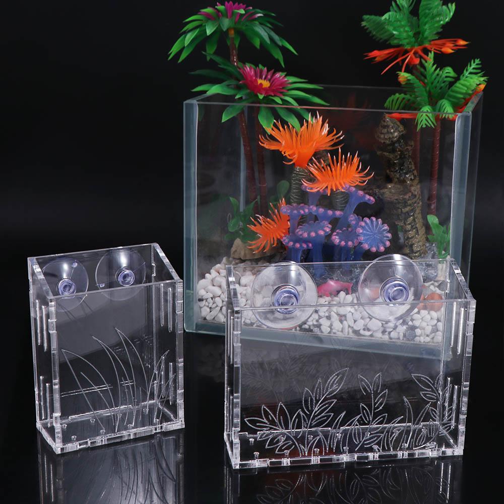 Pot de culture mural pour plan - Aquarium Planted Wall avis et prix