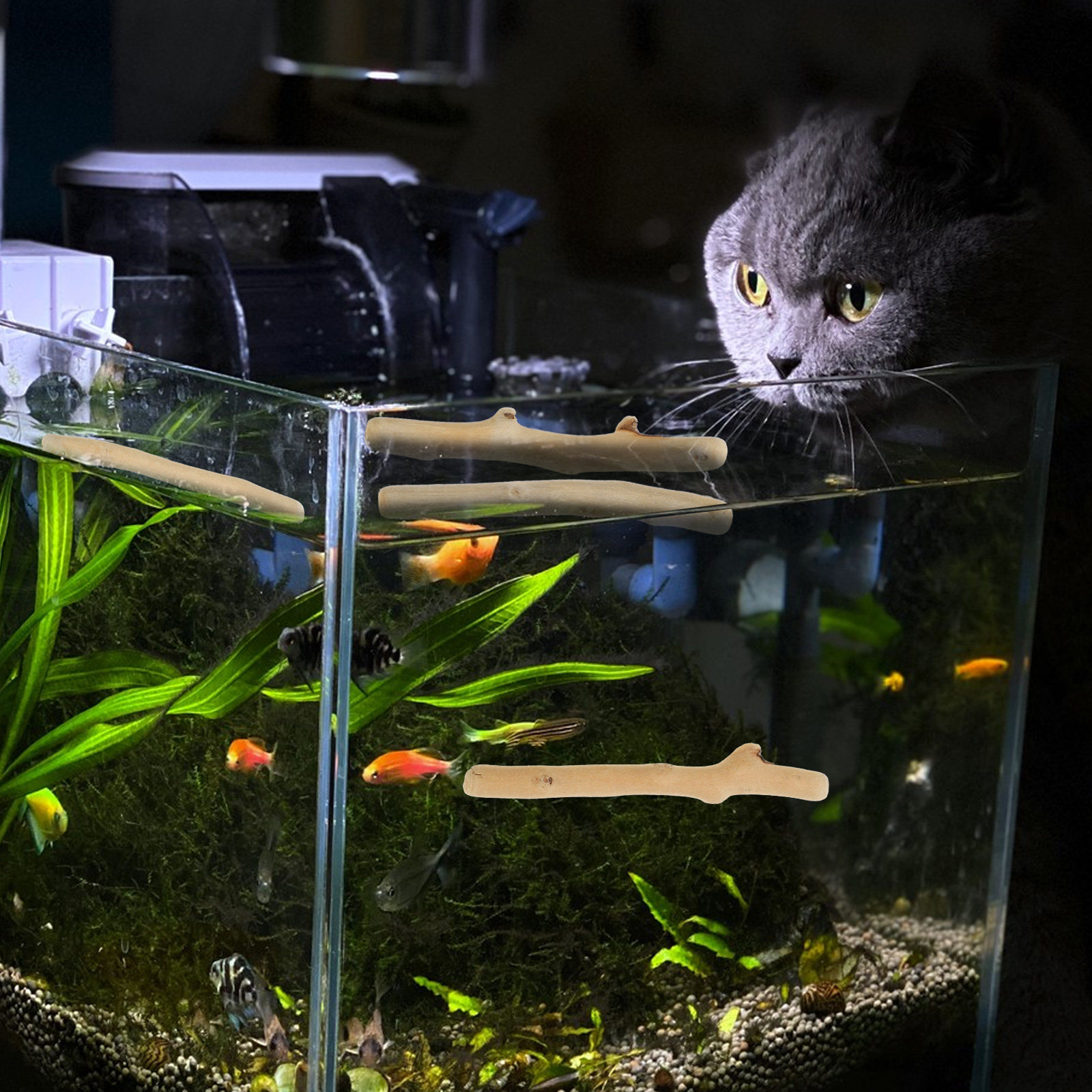 1 ensemble de décoration en bo - Planted Aquarium Ph avis et prix