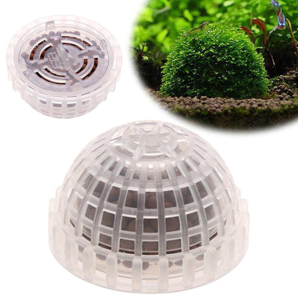 Fournitures aquatiques pour an - Planted Aquarium Maintenance avis et prix