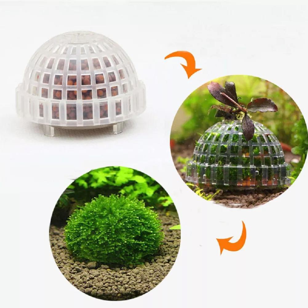 Fournitures aquatiques pour an - Planted Aquarium Maintenance avis et prix