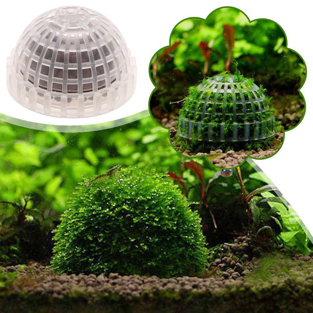 Fournitures aquatiques pour an - Planted Aquarium Maintenance avis et prix