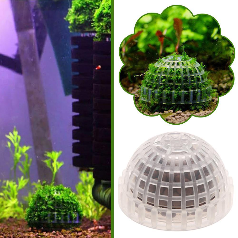 Fournitures aquatiques pour an - Planted Aquarium Maintenance avis et prix