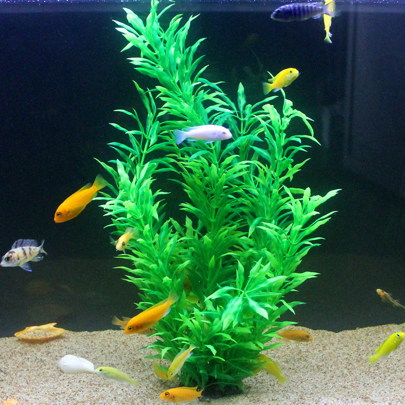 Plantes artificielles pour aqu - Aquarium Plant Roots avis et prix