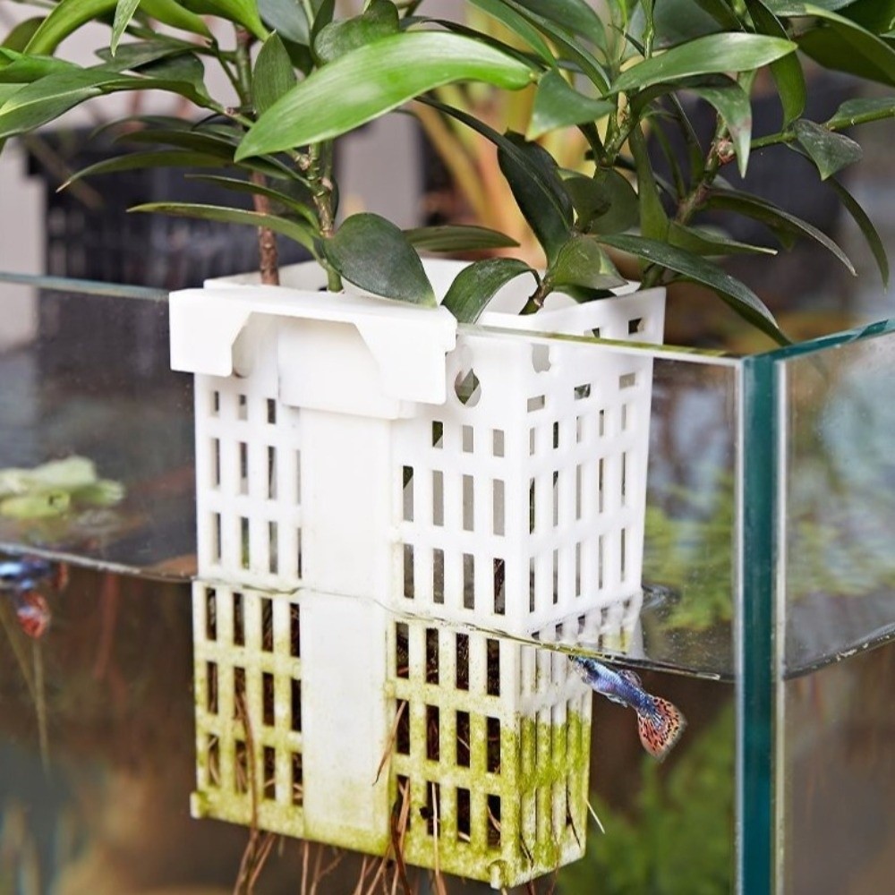 Support mural polyvalent pour  - Aquarium Planted Wall avis et prix