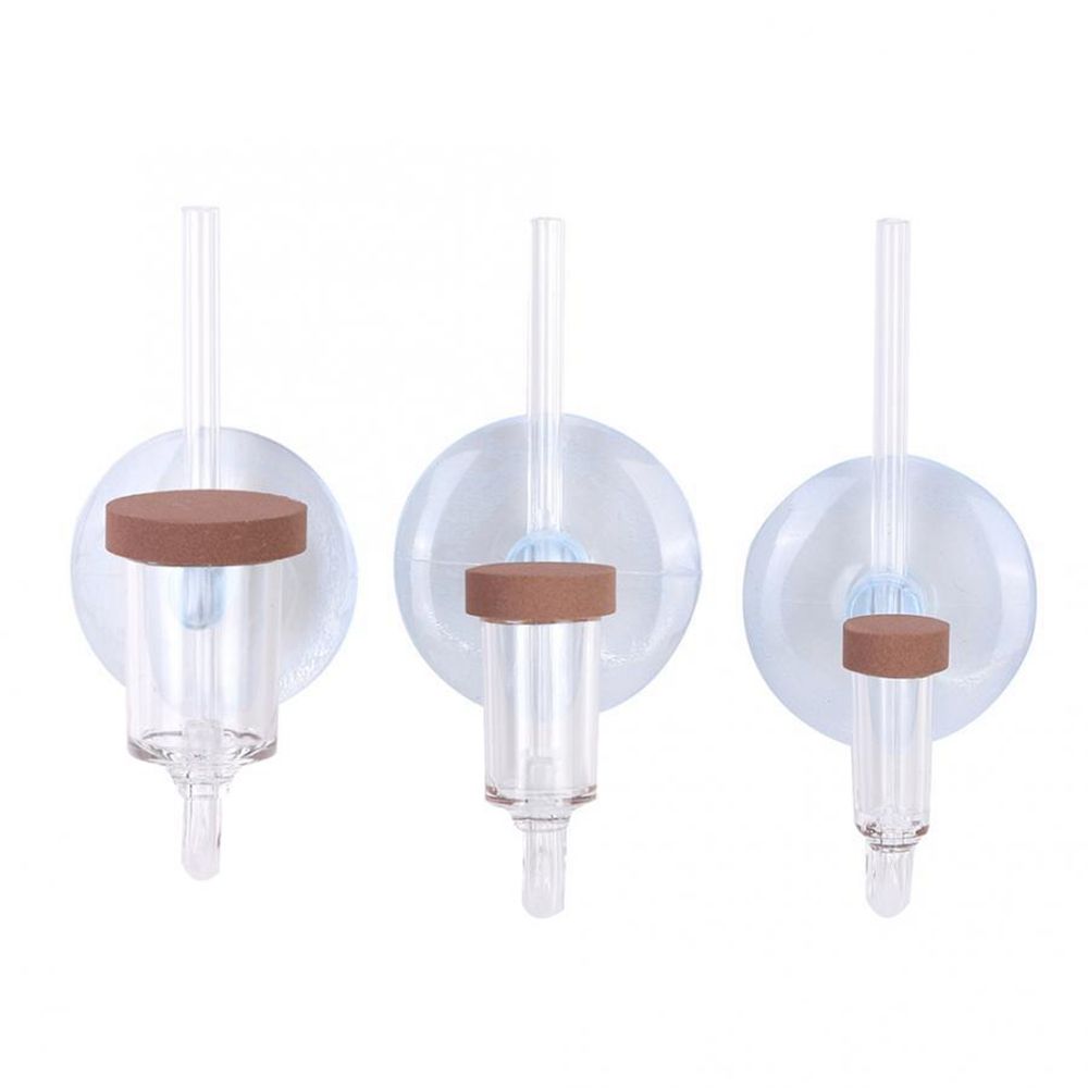 Mini Aquarium en acrylique, pl - Planted Aquarium Maintenance avis et prix