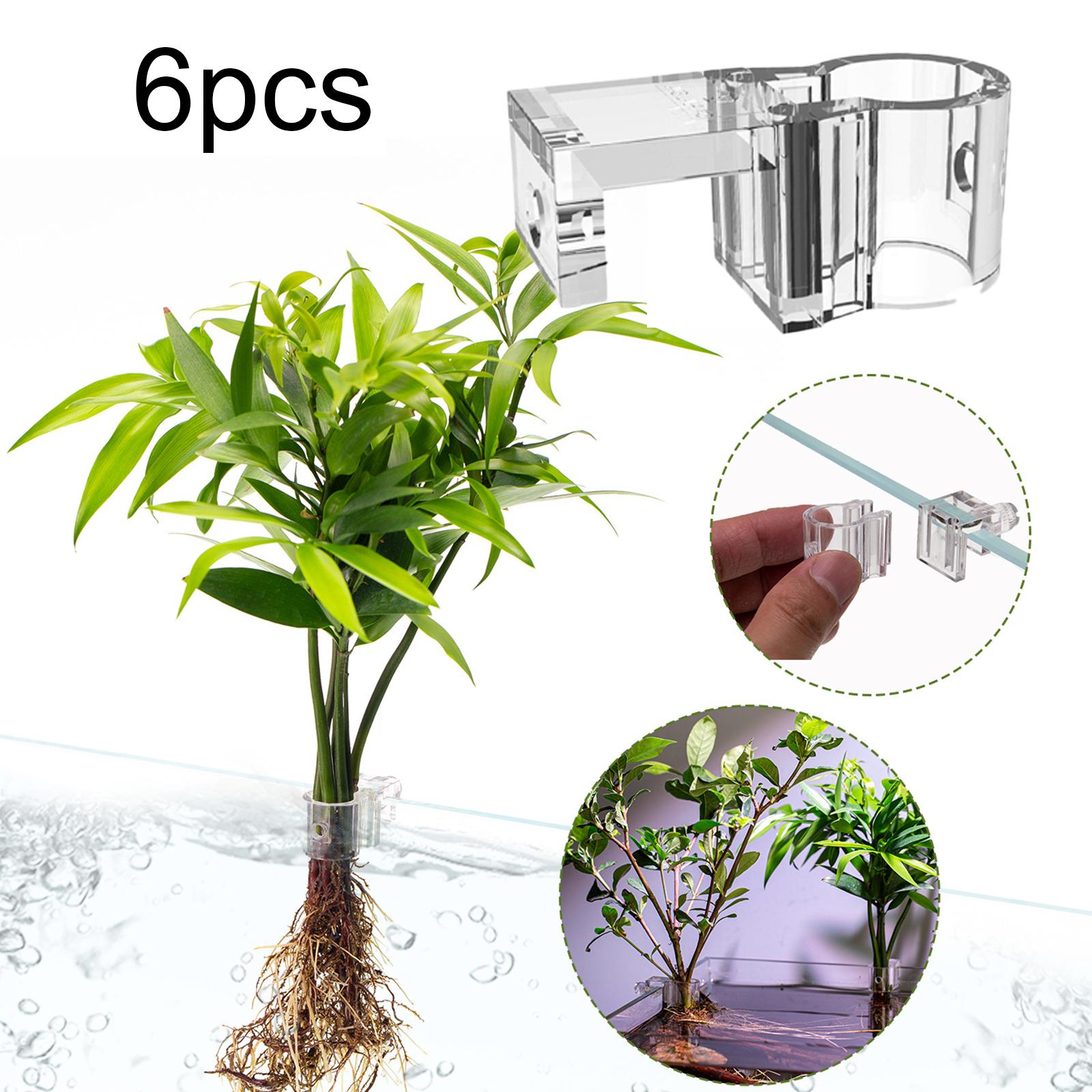 Support de Plantes Transparent - Aquarium Planted Wall avis et prix