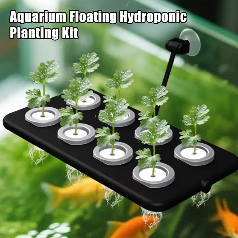 Kit de culture hydroponique fl - Aquarium Planted Wall avis et prix