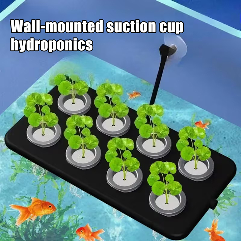 Kit de culture hydroponique fl - Aquarium Planted Wall avis et prix