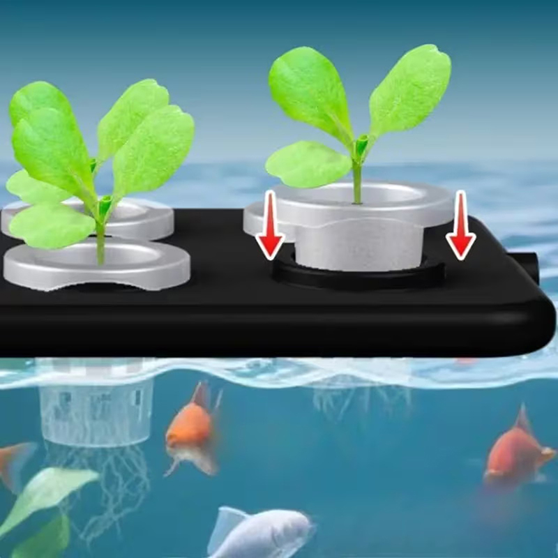 Kit de culture hydroponique fl - Aquarium Planted Wall avis et prix