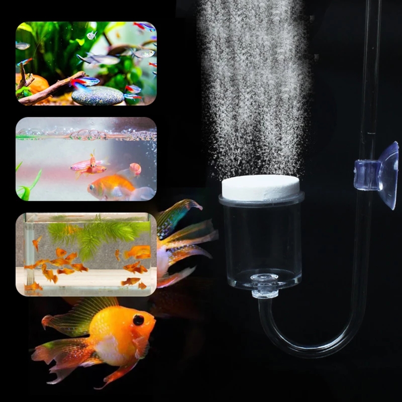 Diffuseur de CO2 pour aquarium - Planted Aquarium Maintenance avis et prix