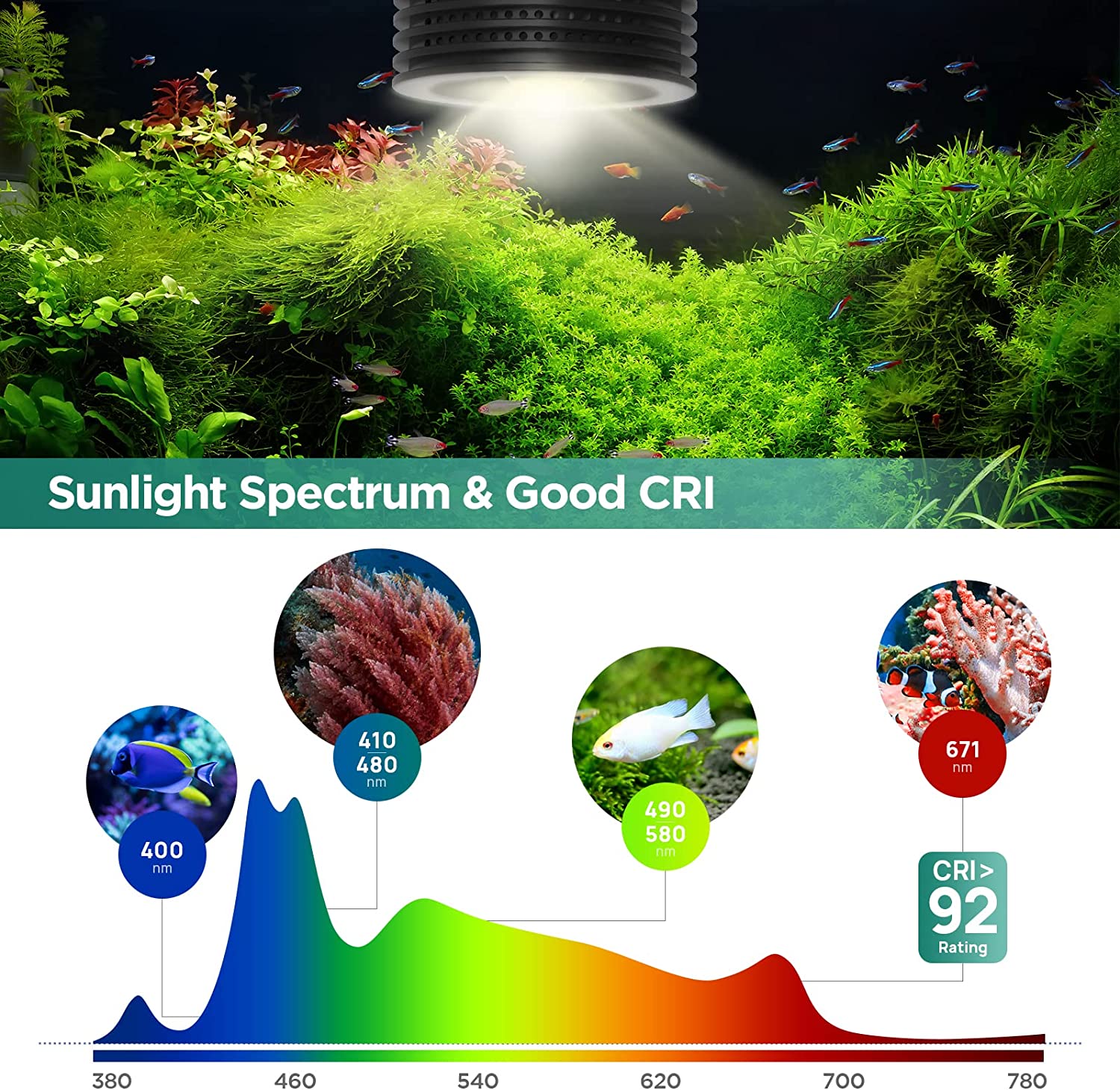 Lominie Asta 20 eau douce 18W  - Planted Aquarium Uv Light avis et prix