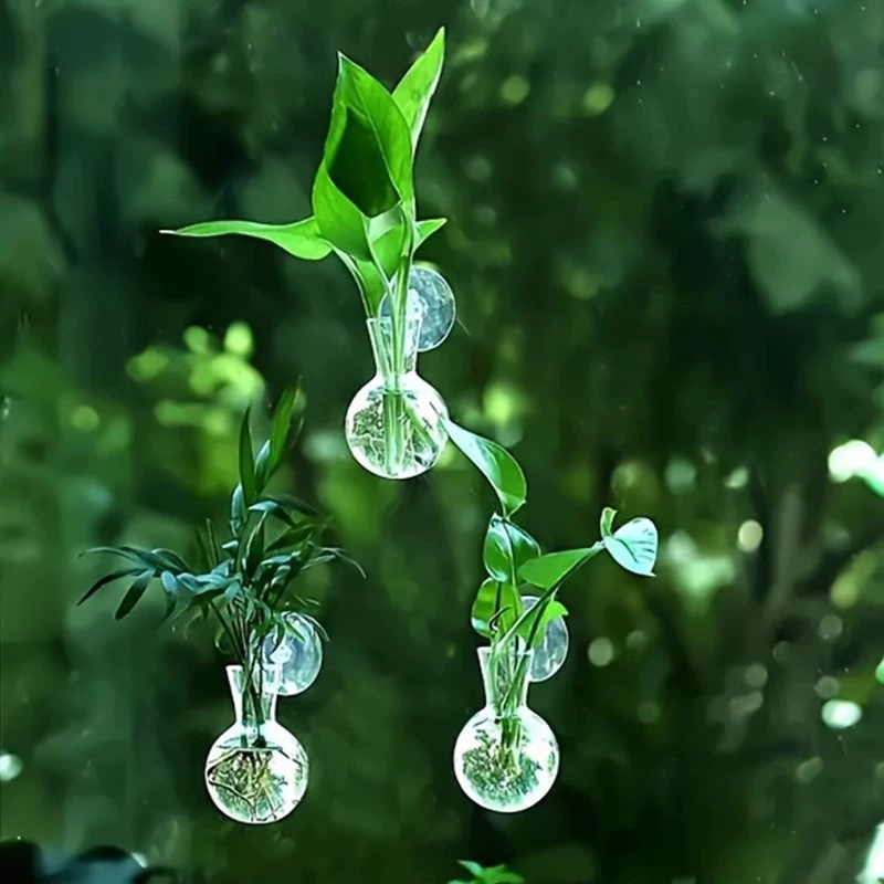 Vase mural semi-circulaire cré - Aquarium Planted Wall avis et prix