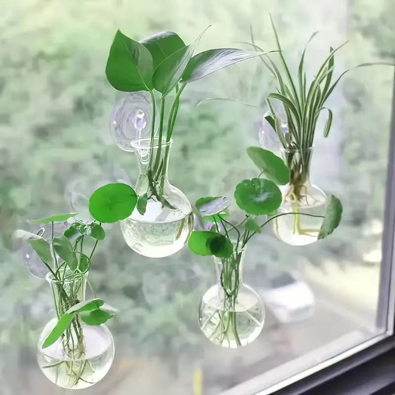 Vase mural semi-circulaire cré - Aquarium Planted Wall avis et prix