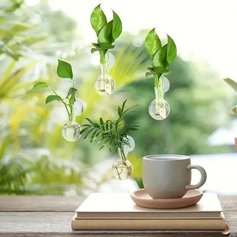Vase mural semi-circulaire cré - Aquarium Planted Wall avis et prix